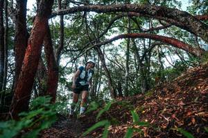 BIB: 
                            <button type="button" onclick="openModal(26345393)" class="btn btn-primary btn-sm float-right btn-popup" data-toggle="modal" data-target=".modal-high-quality">
                        <i class="fas fa-shopping-cart"></i> Add to Cart
                    </button>
                                            <button type="button" onclick="isThisMe(26345393, true)" class="btn btn-success btn-sm float-right btn-popup btn-isme hidden" data-toggle="tooltip" data-placement="bottom" title="นี่คือรูปของคุณใช่ไหม คลิกที่นี่เพื่อเอาเข้าอัลบั้ม">
                        <i class="fas fa-plus"></i> Add to album
                    </button>
                    <button type="button" onclick="isThisMe(26345393, false)" class="btn btn-warning btn-sm float-right btn-popup btn-isnotme hidden">
                        <i class="fas fa-ban"></i> Remove from album
                    </button>